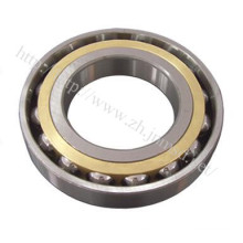 Rear Wheel Bearing, Rolling Bearing, Angular Contact Ball Bearing (MC6034)